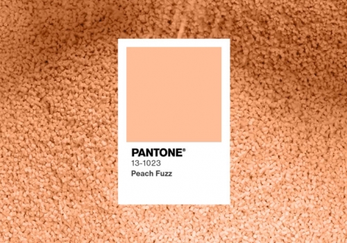 pantone 2024 Peach Fuzz masterbatch