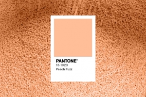 pantone 2024 Peach Fuzz 13-1023 masterbatch